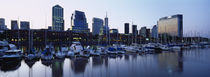 Boats Docked At A Harbor, Puerto Madero, Buenos Aires, Argentina by Panoramic Images