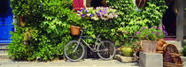 Plants And Flowers, Rochefort En Terre, France by Panoramic Images