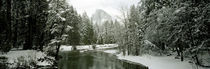  Yosemite National Park, Mariposa County, California, USA von Panoramic Images