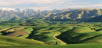 Farmland S Canterbury New Zealand von Panoramic Images