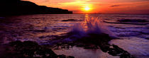 Wave Breaking On Rocks, Bempton, Yorkshire, England, United Kingdom von Panoramic Images