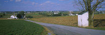 Road passing through a field, Amish Farms, Lancaster County, Pennsylvania, USA by Panoramic Images