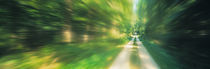 Road, Greenery, Trees, Germany von Panoramic Images