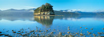  Marlborough Sound, New Zealand von Panoramic Images
