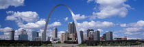 Metal arch in front of buildings, Gateway Arch, St. Louis, Missouri, USA von Panoramic Images