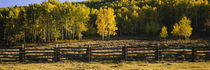 San Miguel County, Colorado, USA by Panoramic Images