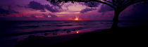 Sunrise over the sea, Pounders Beach, Oahu, Hawaii, USA by Panoramic Images