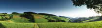 Panoramic view of a landscape, St Margen, Black Forest, Germany by Panoramic Images