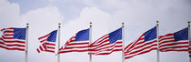 Low angle view of American flags fluttering in wind von Panoramic Images