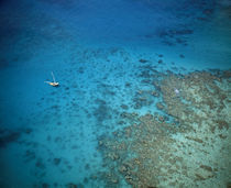  coral reefs, near Isla Palominitos, Puerto Rico von Panoramic Images