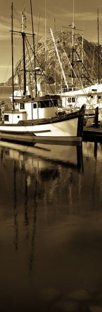 Fishing boats in the sea, Morro Bay, San Luis Obispo County, California, USA by Panoramic Images