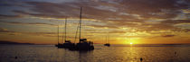 Silhouette of sailboats in the sea at sunset, Tahiti, French Polynesia by Panoramic Images