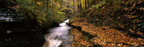 Buttermilk Creek, Ithaca, New York State, USA von Panoramic Images
