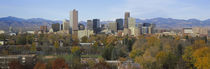 Skyscrapers in a city with mountains in the background, Denver, Colorado, USA by Panoramic Images
