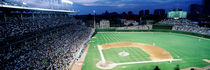 USA, Illinois, Chicago, Cubs, baseball by Panoramic Images