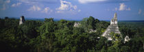 High Angle View Of An Old Temple, Tikal, Guatemala von Panoramic Images