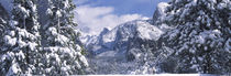 El Capitan, Half Dome, Bridal Veil, Yosemite National Park, California, USA by Panoramic Images