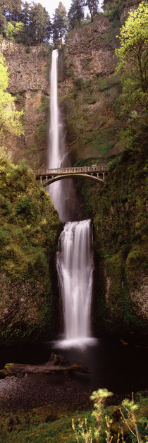 Waterfall in a forest, Multnomah Falls, Columbia River Gorge, Oregon, USA by Panoramic Images