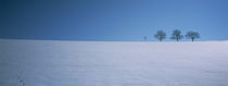 Footprints on a snow covered landscape, St. Peter, Black Forest, Germany by Panoramic Images