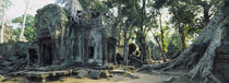 Old ruins of a building, Angkor Wat, Cambodia von Panoramic Images