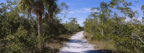  J.N. Ding Darling National Wildlife Refuge, Sanibel Island, Florida, USA von Panoramic Images