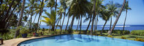 Palm trees near a swimming pool, Maui, Hawaii, USA by Panoramic Images