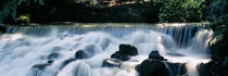 Waterfall in a forest, Aberfeldy Birks, Perthshire, Scotland by Panoramic Images