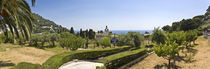 Trees in a formal garden, Gardens of Augustus, Capri, Naples, Campania, Italy by Panoramic Images