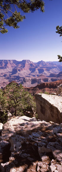 South Rim, Grand Canyon National Park, Arizona, USA by Panoramic Images