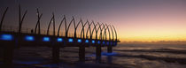 Durban, KwaZulu-Natal, South Africa by Panoramic Images