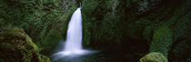 Waterfall in a forest, Columbia River Gorge, Oregon, USA von Panoramic Images