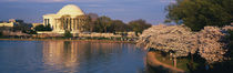 Tidal Basin Washington DC by Panoramic Images