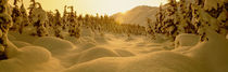 Sunset, Turnagain Pass, Alaska, USA von Panoramic Images