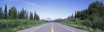 George Parks Highway AK by Panoramic Images