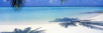 Laguna Maldives by Panoramic Images