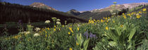 Crested Butte, Gunnison County, Colorado, USA by Panoramic Images