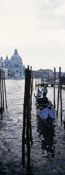 Santa Maria Della Salute, Venice, Veneto, Italy by Panoramic Images