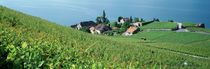  Canton Vaud, Switzerland von Panoramic Images