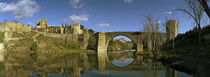 Tagus River, Toledo, Castilla La Mancha, Toledo province, Spain by Panoramic Images