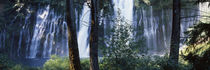 Waterfall, McArthur-Burney Falls Memorial State Park, California, USA von Panoramic Images