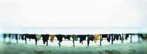 Clothes drying at the riverbank, Ganges River, Varanasi, Uttar Pradesh, India by Panoramic Images