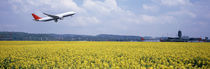 Airplane taking off, Zurich Airport, Kloten, Zurich, Switzerland von Panoramic Images