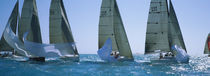 Sailboat racing in the ocean, Key West, Florida, USA by Panoramic Images