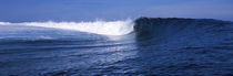 Surfer in the sea, Tahiti, French Polynesia by Panoramic Images