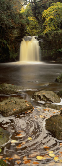 Goathland, North Yorkshire, England, United Kingdom by Panoramic Images