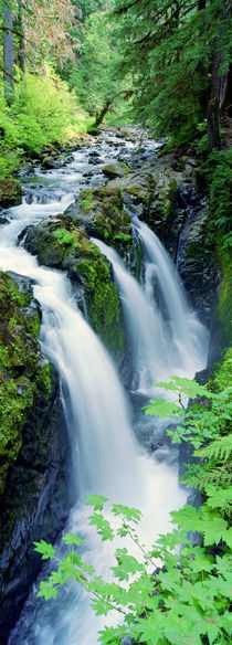 Sol Duc Falls Olympic National Park WA by Panoramic Images