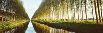 Belgium, tree lined waterway through countryside by Panoramic Images