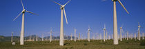 Wind turbines in a field, Mojave, California, USA by Panoramic Images