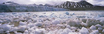 Ice floes in the sea with a glacier in the background, Norway by Panoramic Images