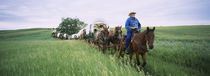 Historical reenactment of covered wagons in a field, North Dakota, USA by Panoramic Images